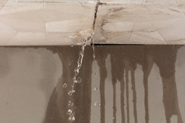 Professional Flood Damage Cleanup technician working in Eugene, MO